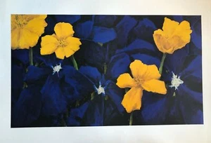 Sketch for a European Flag by Charles Belle (Art Colour Print, 100cm x 70cm) - Picture 1 of 1