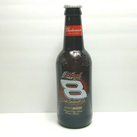 Dale Earnhardt Jr #8 Large Glass Bottle Bank 2000 Rookie Nascar Racing 14.5" Cover