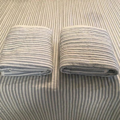 Target Threshold Queen 被子套装蓝色和白色条纹 2 件装枕套 — 第 1/4 张图片