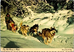 Hundeschlitten Husky Teamrennen in Alaska Postkarte Dexter Press Frank Whaley UNP - Bild 1 von 2