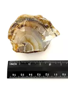 Muestra de piedra áspera de ágata de encaje azul natural - 117,9 g - Imagen 1 de 1