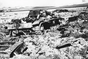 1930s-40s (6 x 4) Repro German RP- Panzer- Tank- Destroyed Tanks- Tunisia 1943 - Picture 1 of 2