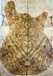Archtop Guitar Drop Top 5A Barky Flame Golden Camphor Wood Burl Luthier Supply - Picture 1 of 4