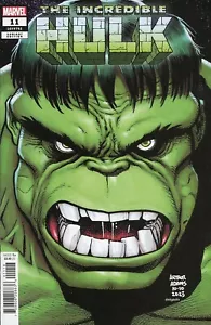 Incredible Hulk Vol 5 #11 1:25 Incentive Arthur Adams Variant Cover - Bild 1 von 1