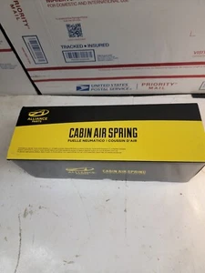 DTNA SUSPENSIÓN NEUMÁTICA CABINA RESORTE AIRE ABP N32 0272151 - Imagen 1 de 3