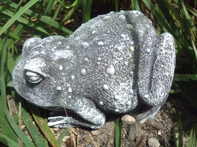 Molde a tope de rana de látex con rana de respaldo de plástico 5" x 3" x 3,5" Foto 1 de 4