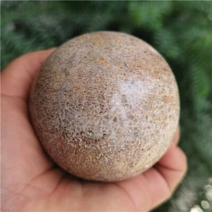 385g  Awesome!Dinosaur Bone Fossil Crystal Ball Sphere Madagascar  X977 - Picture 1 of 9
