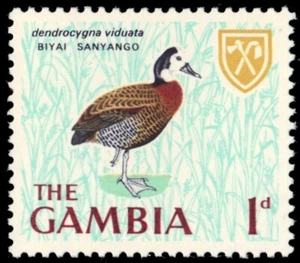 GAMBIA 216 - White-faced Whistling Duck "Dendrocygna viduata" (pb99348) - Picture 1 of 1