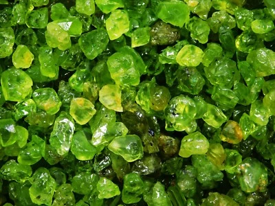 Natural Green Peridot Loose Gemstone Stone Rough Specimen lot - Image 1 of 4