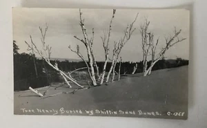 Bäume begraben durch Verschieben von Sand Dünen kein Standort RPPC - Bild 1 von 6