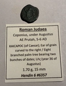Coponius Roman Procurator of Judaea from 6-9 AD (Lifetime of Christ), AE Prutah - Picture 1 of 5