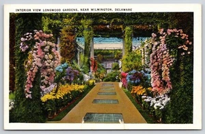 Postal de Longwood Gardens con vista interior cascadas florales cerca de Wilmington Delaware - Imagen 1 de 3