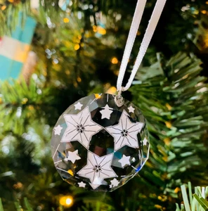 Neu im Karton Swarovski Sternblume Ornament klein PWP FW20 limitiert 5545610 - Bild 1 von 3