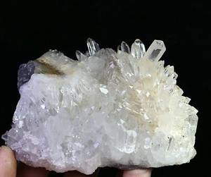 1,38 Pfund natürliche weiße Chrysantheme klare Quartz Kristall Cluster Punkt Probe - Bild 1 von 12