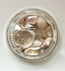 Vintage Seashell Paperweight, Round Scalloped Edge, Felt Backed - Picture 1 of 3