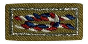 Paño nudo líder adulto Eagle Scout Award - Imagen 1 de 2