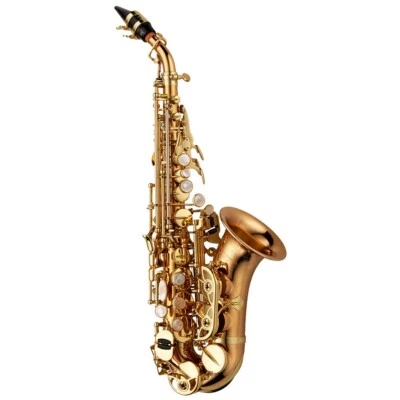 Saxofón Soprano Profesional Elite Curvado Bronce Yanagisawa SC-WO20 Envío Gratis Nuevo Foto 1 de 3