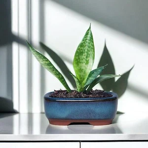 Flower Vase Ceramic Multicolor Modern Solid Bottle Decor Small Free Stand - Picture 1 of 16
