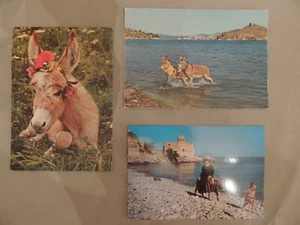 3 Postcards with Greek Donkeys- morning bath - after the divine service - Picture 1 of 6