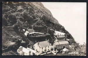 Postkarte Buck's Mills bei Clovelly Devon Dorfübersicht RP von Reilly - Bild 1 von 2