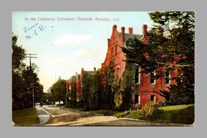 In The California University Grounds Berkeley California DB c1911 Postcard - Picture 1 of 2