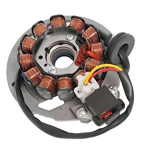 GENERATORE STATORE MAGNETE 12 POLI DUCATI ENERGIA PER MALAGUTI F12 PHANTOM R 50 - Foto 1 di 3