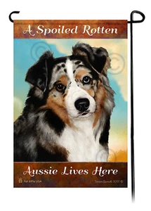 A Spoiled Rotten (Blue Merle) Aussie Lives Here - Imagen 1 de 1