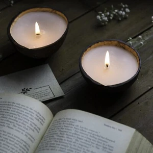 [Set of 2] Coconut Shell Eco-Friendly Scented Candle Soy Wax Handmade Candles - Picture 1 of 5
