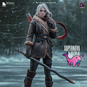 Ciri - The Witcher | Painted Preorder / Unpainted Options - Picture 1 of 20