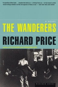 The Wanderers - Bild 1 von 1