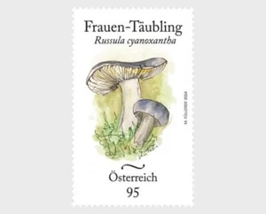 austria 2024 autriche mushroom CHARCOAL BURNER champignon pilz seta fungi 1v ** - Picture 1 of 1