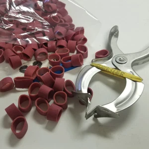 Standard / Shipper Lobster Claw Bands & Steel Claw Band Tool. 1LB Bag - Picture 1 of 5