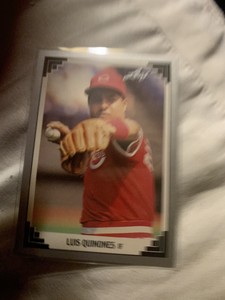 1991 Leaf - #233 Luis Quinones