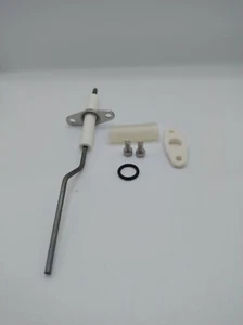 Electrodo de vigilancia adecuado para Wolf CGB 11-100 Ref. N.o 8603059 - Imagen 1 de 3