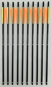 10 Alubolzen 20" schwarz 2219 Feder 4" Armbrustpfeil Armbrustbolzen Ek Archery - Picture 1 of 1