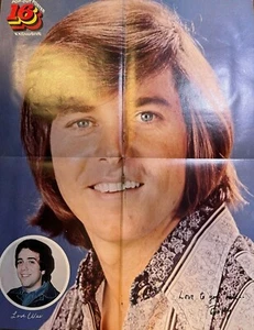 Riesiges farbiges Poster 17 x 22 Bobby Sherman von 1972 - Bild 1 von 1