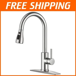 Classic Stainless Steel Faucet with Pull Down Sprayer - Picture 1 of 9