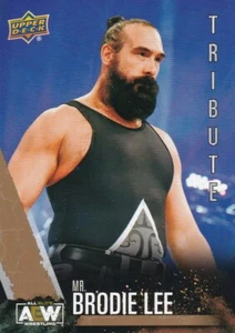 2021 cubierta superior aew tribute - Mr. Brodie Lee - paralelo dorado #60 - Imagen 1 de 1