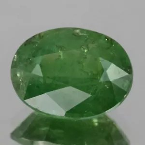 Video_6,18cts_Hoja Verde_Granate Demantoide Natural_Namibia_Corte Ovalado_GM230 - Imagen 1 de 2