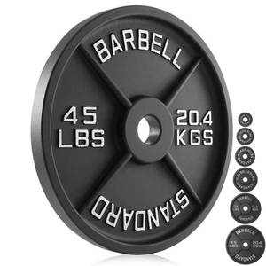 Cast Iron Olympic 2-inch Weight Plates, 2.5 - 45LB - Picture 1 of 73