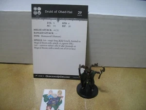 =Dungeons and Dragons D&D DRAGONEYE Druid of Obad-Hai 27/60 with card= - Picture 1 of 1