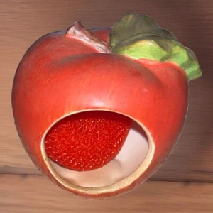 Vintage Apple Sponge Holder W/sponge Kitchen - Picture 1 of 6