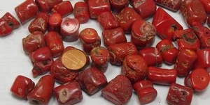 1/2 Pfund vorgebohrte gefärbte rote Meereskorallen-Nuggets / 12 mm - 18 mm Durchmesser (T713-W8) - Bild 1 von 1