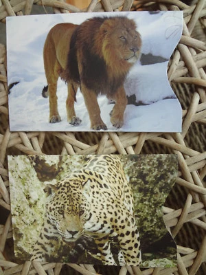 Lote Funda/Estuche/Soporte para Tarjeta de Crédito RFID Protector de Identidad Animales a Todo Color Foto 1 de 3