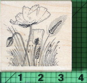 Field of Poppies 4308K Flowers rubber stamp by Penny Black 2013
