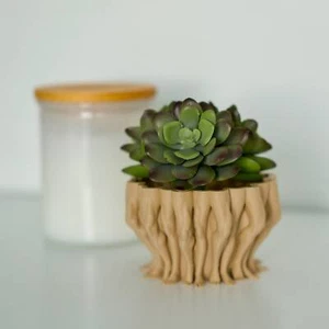 Legs Succulent and Cactus Planter Pot - Picture 1 of 196