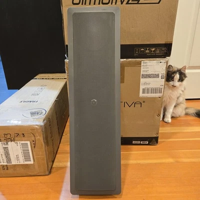 Definitive Ultimate In Wall RLS III Foto 1 de 4