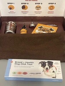 MUG Root Beer Soda DAWG Dog DNA KIT Limited Edition Box Collector’s Item - Picture 1 of 3