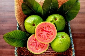 Guayaba Red Getas (Psidium Guajava) 5.000+ semillas - Imagen 1 de 10