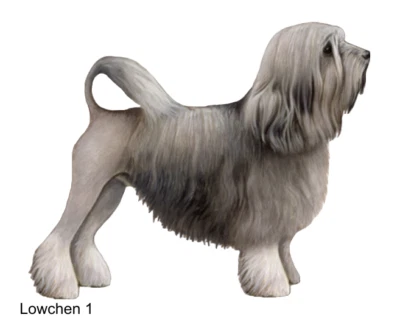 LARGE-SIZED CAR DECALS - LOWCHEN - Image 1 of 2